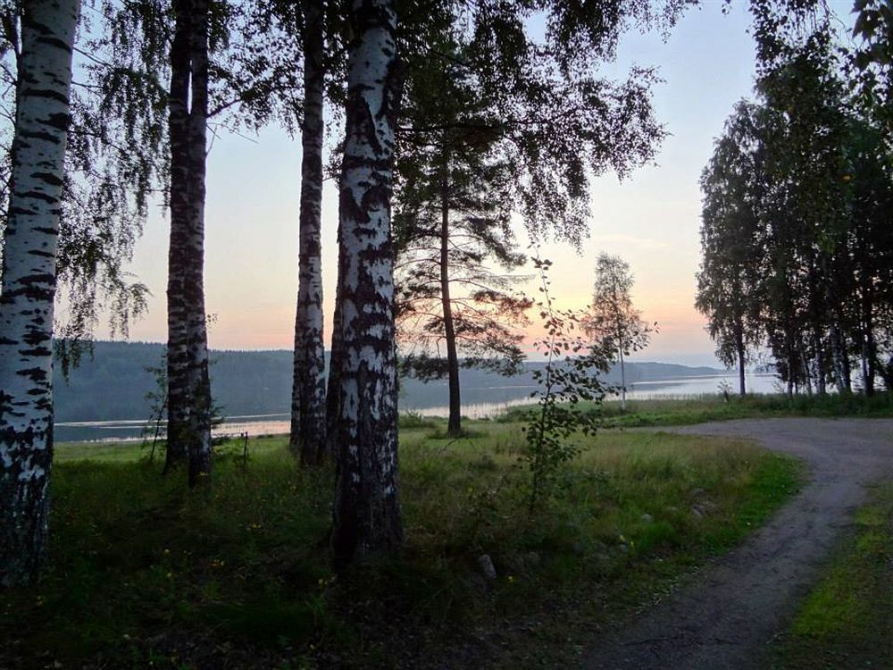 Cronin'S Guesthouse Bed & Breakfast Хейнола Экстерьер фото